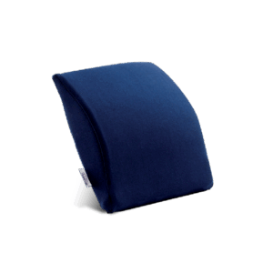 Transit Lumbar Support