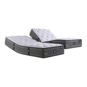 Sertamotion® + Bed Frame